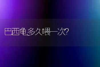 请问折耳猫是不是容易发病，想买一只就是怕死了？