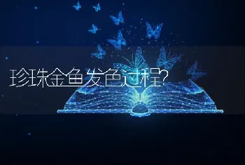 珍珠金鱼发色过程？