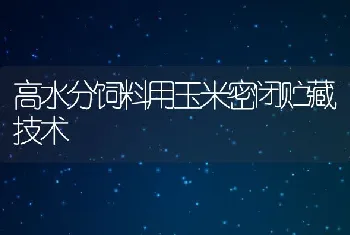 高水分饲料用玉米密闭贮藏技术