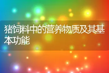 猪饲料中的营养物质及其基本功能