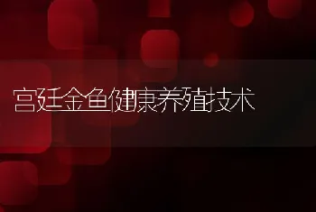 宫廷金鱼健康养殖技术