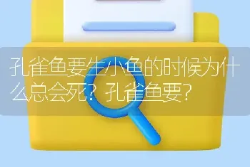 孔雀鱼要生小鱼的时候为什么总会死？孔雀鱼要？