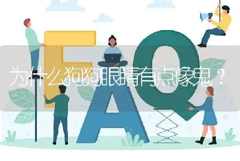 为什么狗狗眼睛有点像鬼？