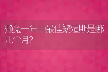 獭兔一年中最佳繁殖期是哪几个月？