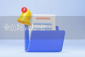 金鱼耗氧大吗？