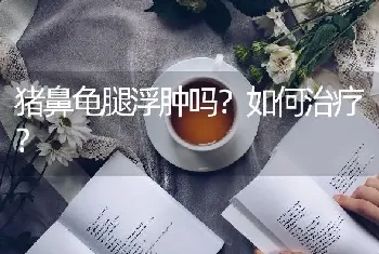 猪鼻龟腿浮肿吗？如何治疗？