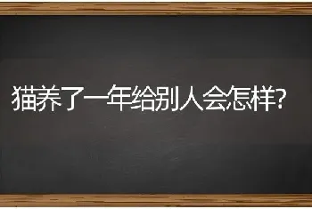 猫养了一年给别人会怎样？