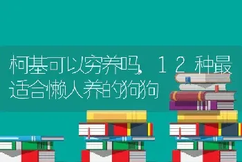 柯基可以穷养吗，12种最适合懒人养的狗狗