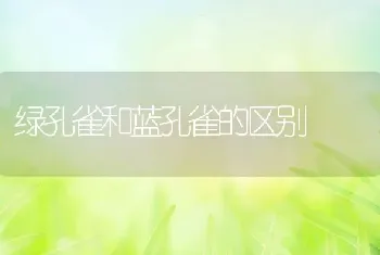 绿孔雀和蓝孔雀的区别