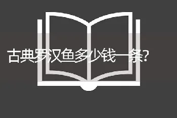 古典罗汉鱼多少钱一条？