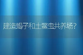 建造蝎子和土鳖虫共养场？