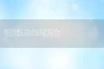 鹿棘球蚴病防治