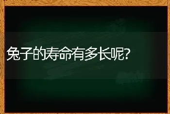 兔子的寿命有多长呢？