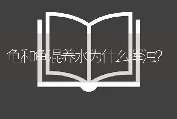 龟和鱼混养水为什么浑浊？