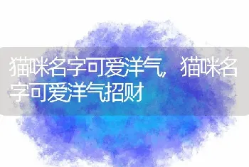 猫咪名字可爱洋气，猫咪名字可爱洋气招财