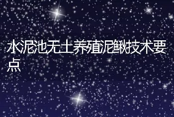 水泥池无土养殖泥鳅技术要点