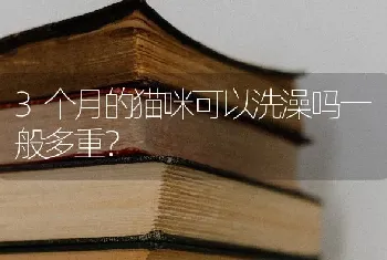 3个月的猫咪可以洗澡吗一般多重？