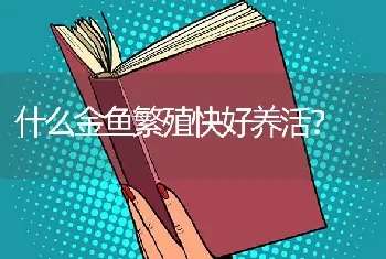 什么金鱼繁殖快好养活？