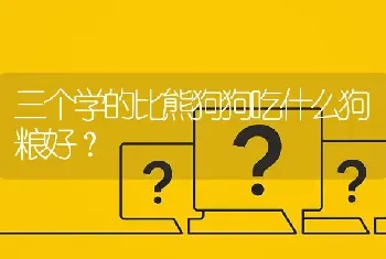 永康哪有沙皮犬卖？永康狗市场在什么地方？