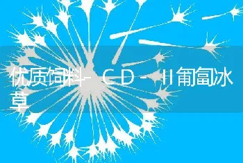 优质饲料-CD-Ⅱ匍匐冰草