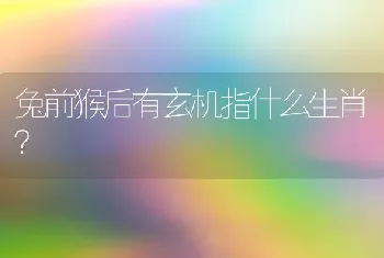 兔前猴后有玄机指什么生肖？