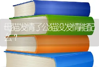 母猫发情了公猫没发情能配么？