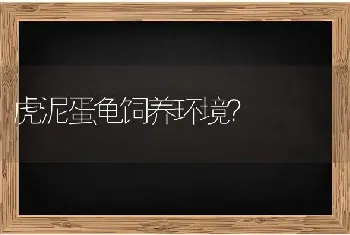 虎泥蛋龟饲养环境？