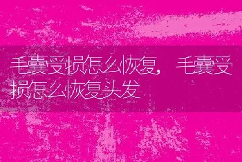 毛囊受损怎么恢复，毛囊受损怎么恢复头发