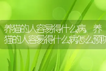 养猫的人容易得什么病，养猫的人容易得什么病怎么预防