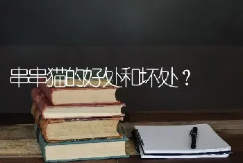 串串猫的好处和坏处？