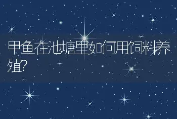 甲鱼在池塘里如何用饲料养殖？