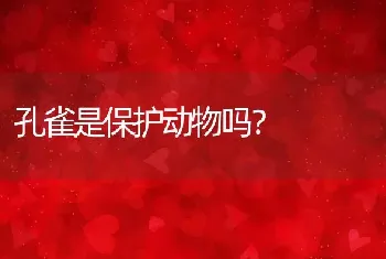 孔雀是保护动物吗？