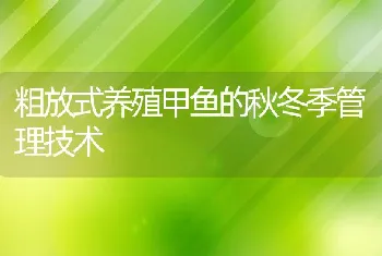 粗放式养殖甲鱼的秋冬季管理技术