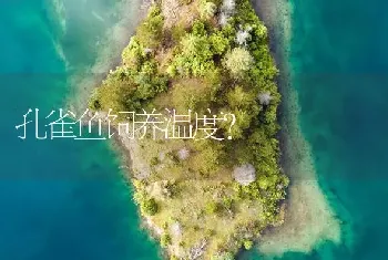 血鹦鹉的黑纱怎么治？