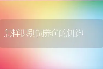 黄鳝池塘网箱生态养殖技术(上)