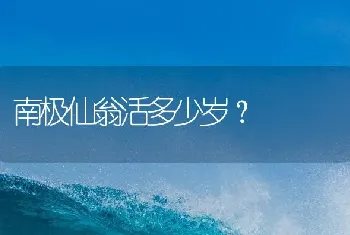 南极仙翁活多少岁？