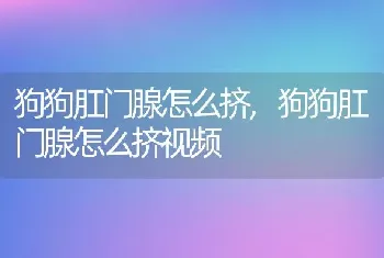 狗狗肛门腺怎么挤，狗狗肛门腺怎么挤视频