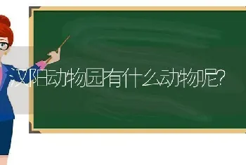 汉阳动物园有什么动物呢？