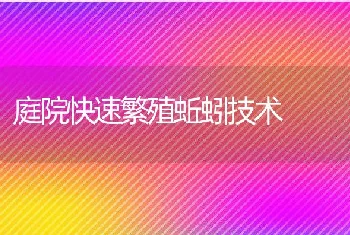 庭院快速繁殖蚯蚓技术