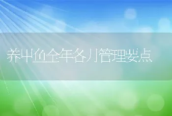 养甲鱼全年各月管理要点