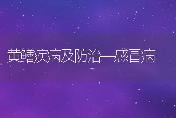 黄鳝疾病及防治―感冒病