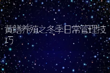 黄鳝养殖之冬季日常管理技巧