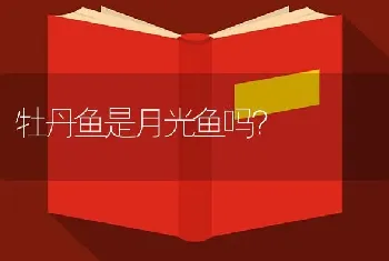 牡丹鱼是月光鱼吗？