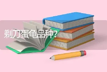 剃刀蛋龟品种？