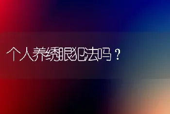 个人养绣眼犯法吗？