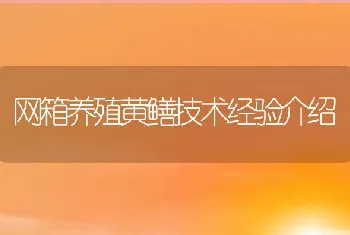 网箱养殖黄鳝技术经验介绍