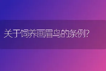 关于饲养画眉鸟的条例？