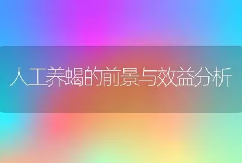 人工养蝎的前景与效益分析