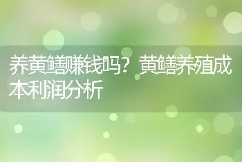 养黄鳝赚钱吗？黄鳝养殖成本利润分析