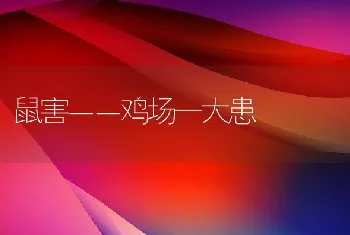 美洲鲥工厂化养殖池塘养殖网箱养殖技术介绍